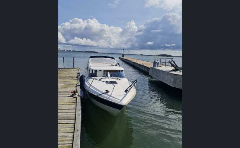 Bella Falcon 26-kuva-2